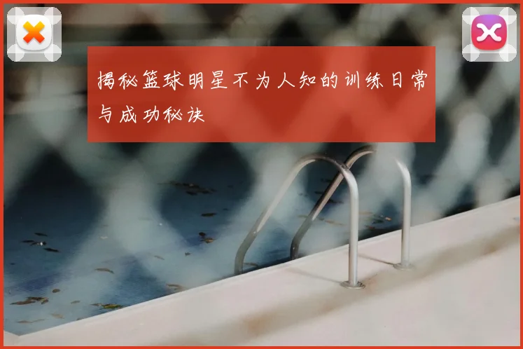 揭秘篮球明星不为人知的训练日常与成功秘诀